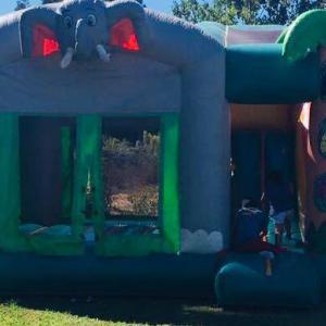 Elefante Castillo tobogán Juego inflable