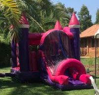 Princesa Castillo tobogan Juego inflable