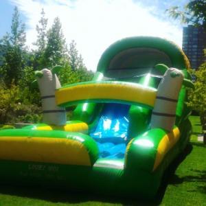 Juego inflable acuatico  TROPICAL