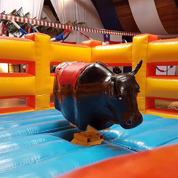 Toro Mecanico
