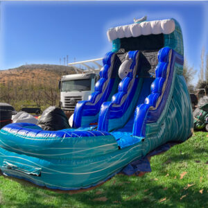 Juego inflable acuatico  Tobogan Delfin