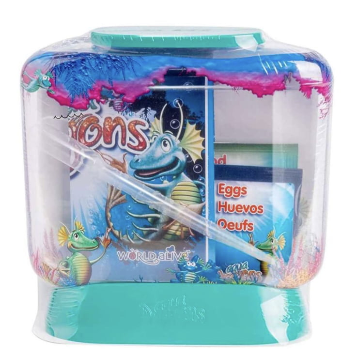 Aqua dragons - Imagen 2
