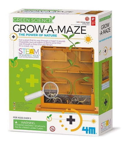 Kit ¿cómo Crece Una Planta?