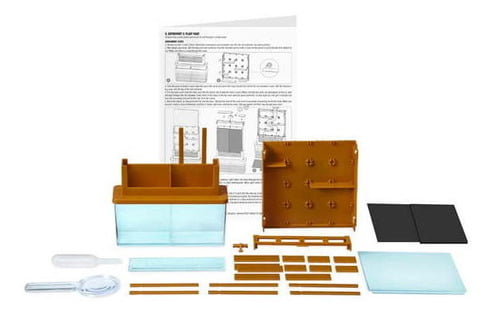 Kit ¿cómo Crece Una Planta? - Imagen 3
