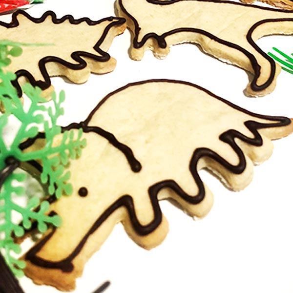 Kit decoración de Galletas de Dinosaurio - Imagen 3